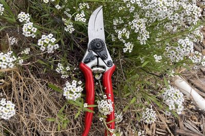 Pruning Tools &amp; Supplies