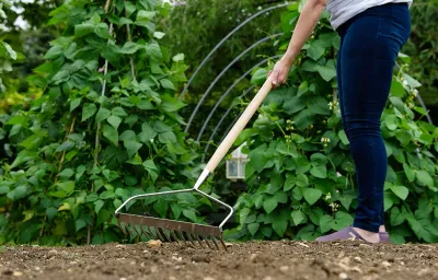Garden Hoes &amp; Rakes