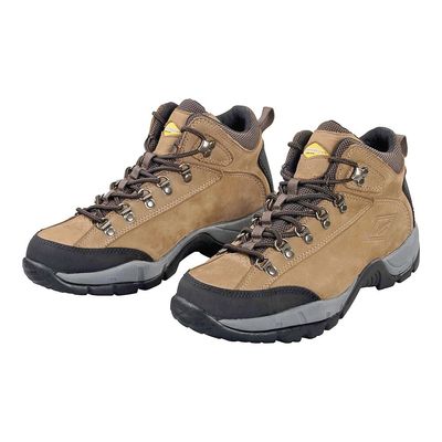 Diamondback Hikers