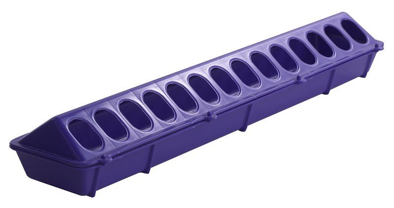 Little Giant 820PURPLE  Plastic Flip-Top Chick Feeder, 20&quot;