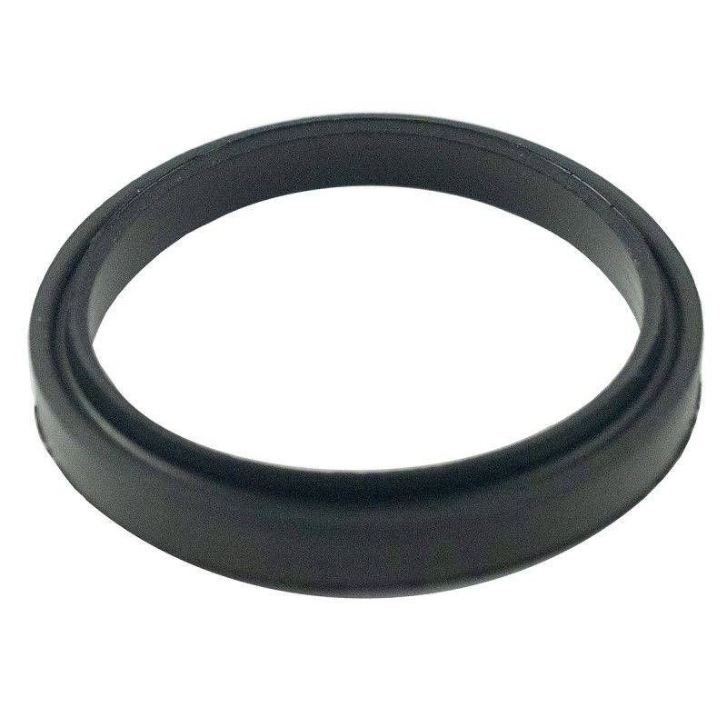 LS Seal-Dust-A0652582