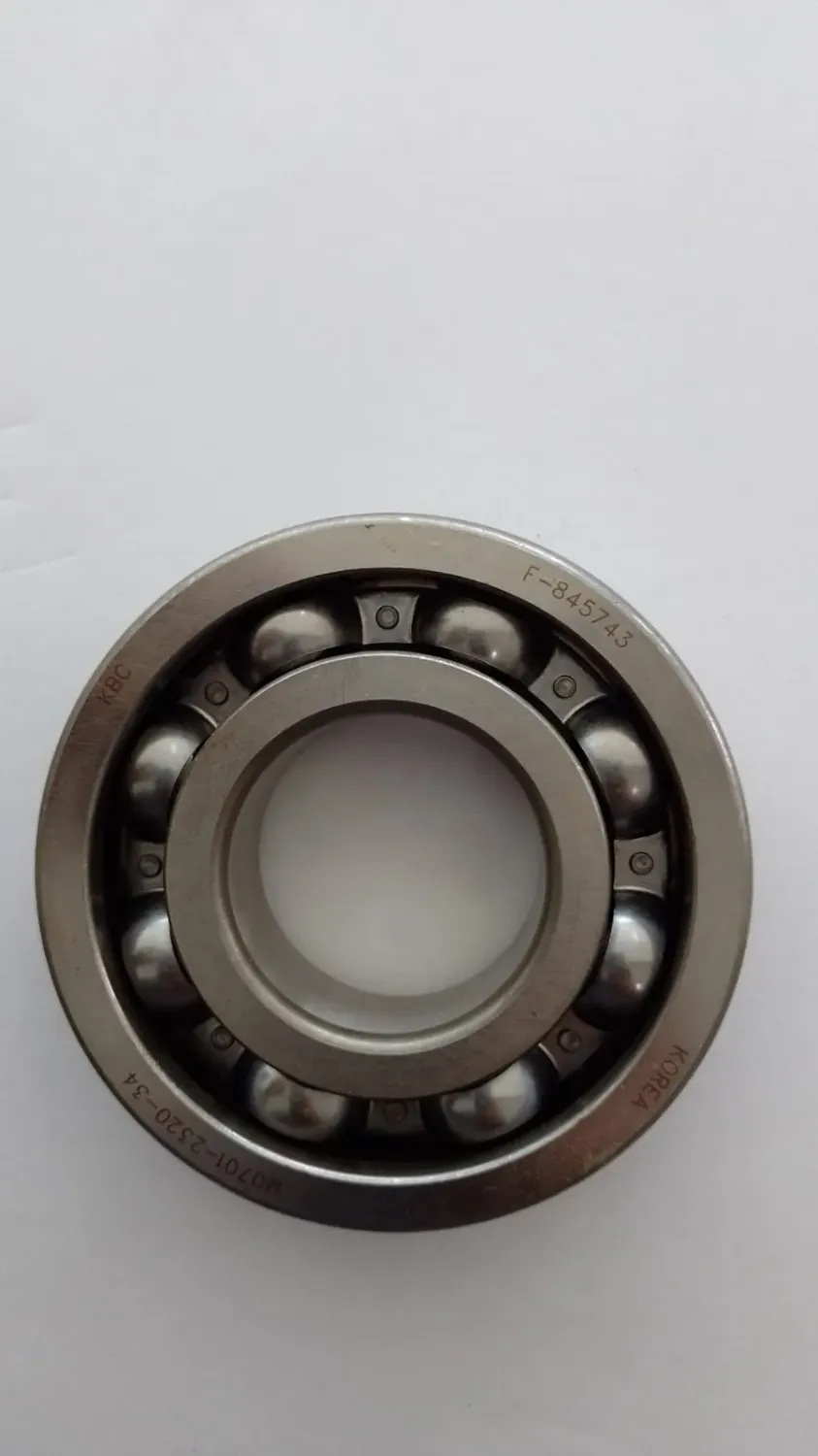 LS Bearing-Ball-A0863080h1