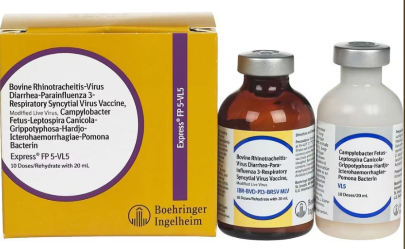 Express FP 10 Vaccine