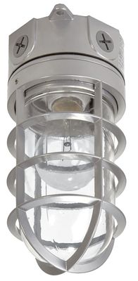 Eaton Lighting VT100G Wet Location Light Fixture, 1600Lm