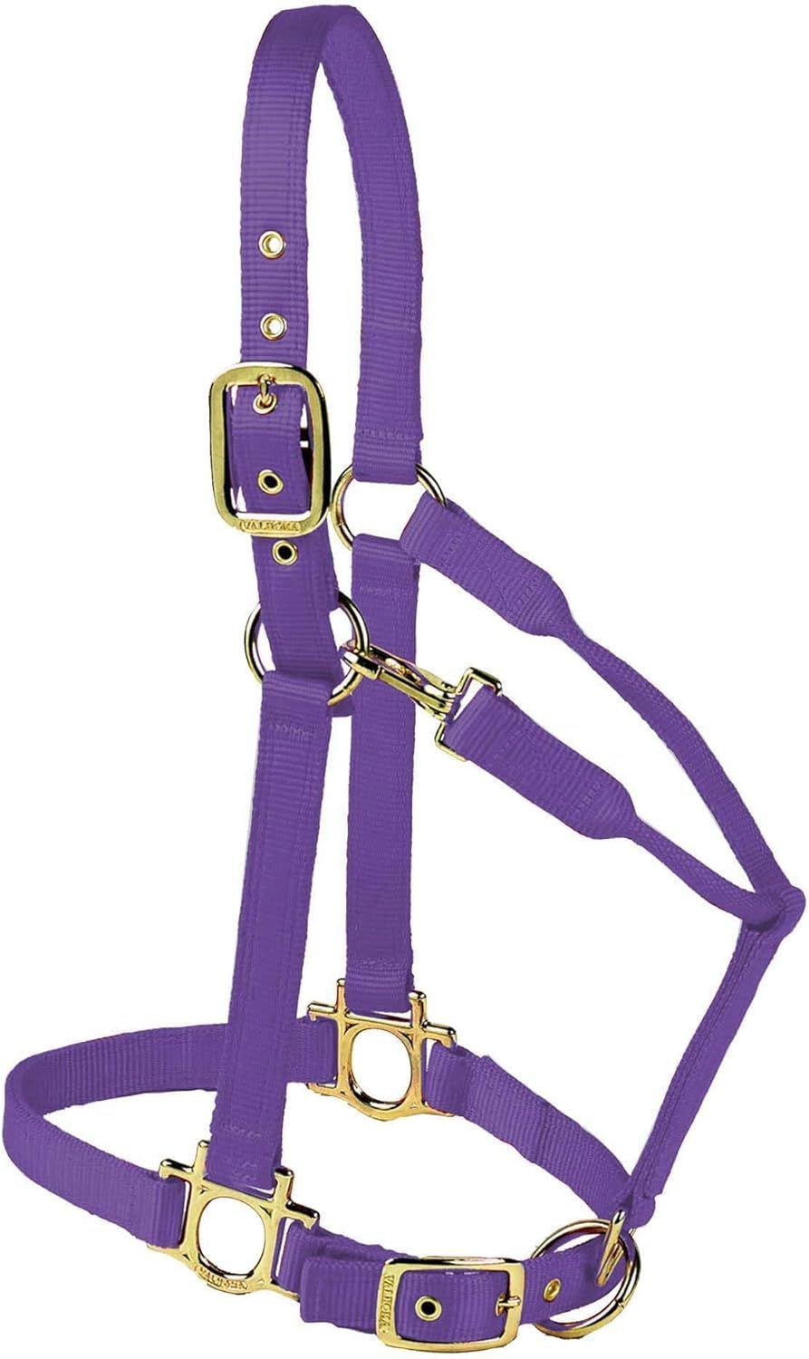 Large QS Halter, Roseberry