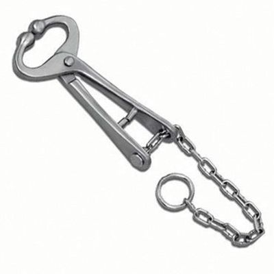 Bull Lead w/Chain