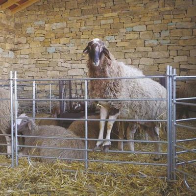 Sheep &amp; Goat Corral Panels