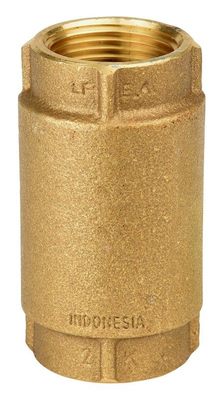 Eco-Flo EFCV100 Brass Check Valve,  1&quot;