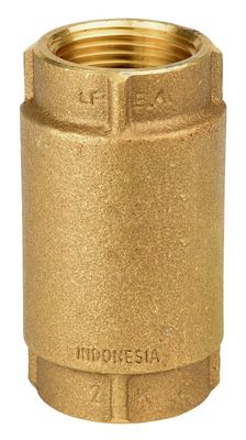 Eco-Flo EFCV100 Brass Check Valve,  1&quot;