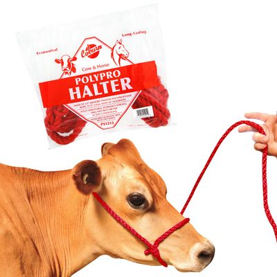 Red PolyPro Cattle/Horse Halter