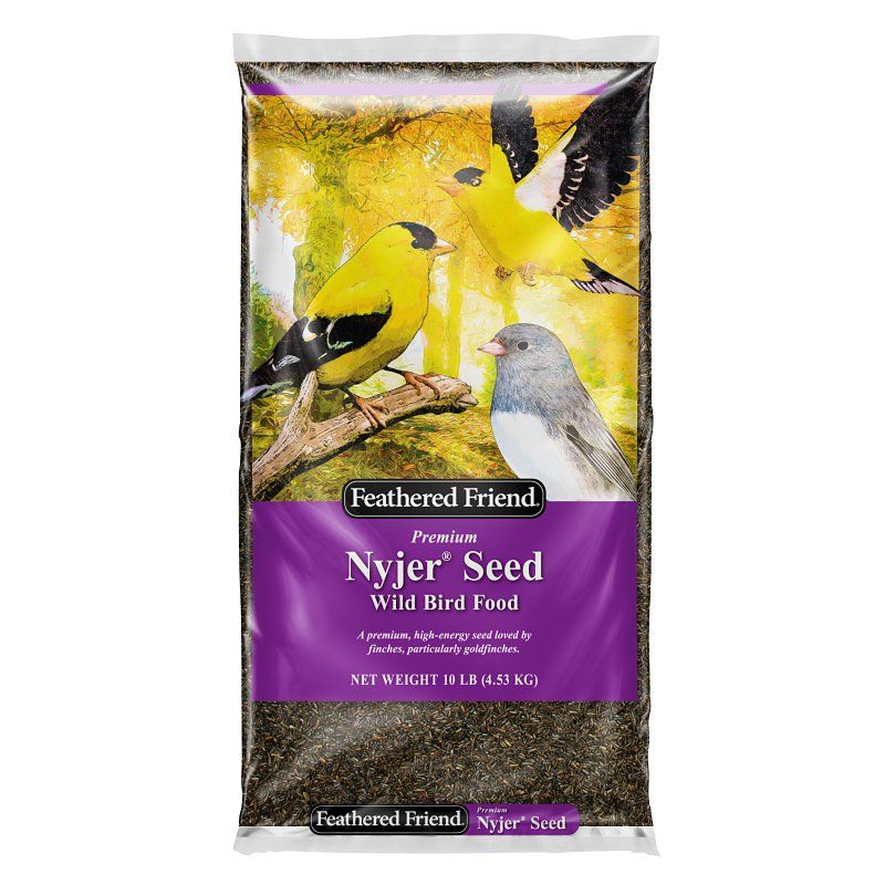 Feathered Friend 14402 Nyjer Bird Feed, 10Lb