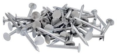 ProFit 0132048 Roofing Nails, 7/8&quot;  1Lb