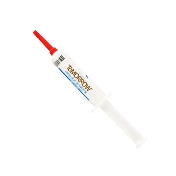 Boehringer 139952 Tomorrow Dry Cow Treatment