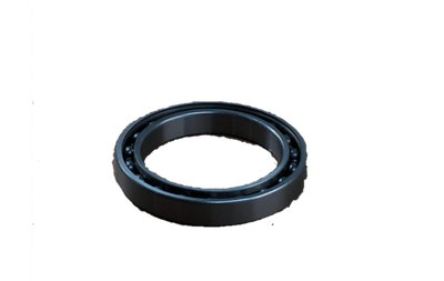 LS Bearing-Ball-A0869160