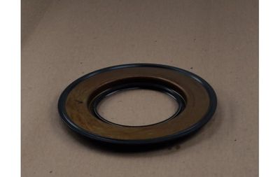 LS Oil Seal-Ism
