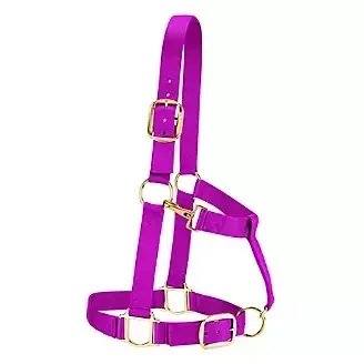 Valhoma Medium Horse QS Halter, Roseberry