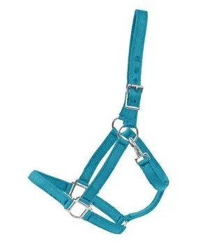 Valhoma Medium Horse QS Halter, Turquoise