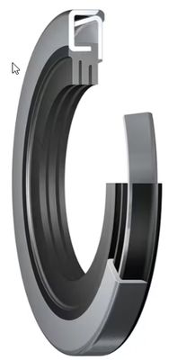 Oil Seal, 1.750X3.149X0.290