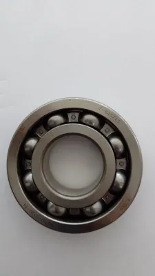 LS Bearing-Ball-A0863080h1
