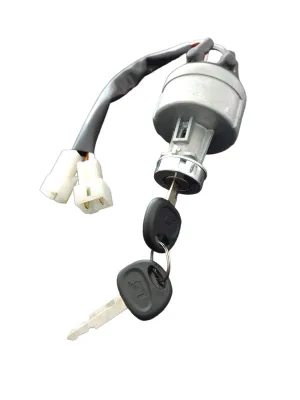 LS Start Switch Assy-Key-Trg750