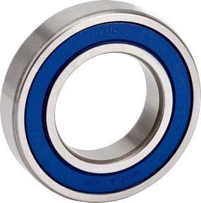 6000 Series Bearings