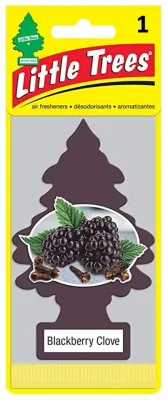Blackberry Clove Little Tree Air Freshener
