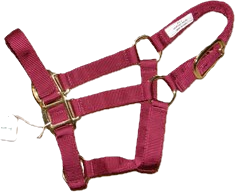 Valhoma QS Burgundy Colt Halter