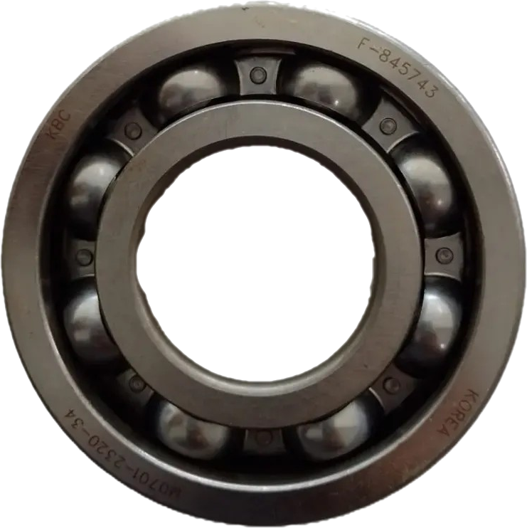 LS Bearing-Ball-A0863080h1