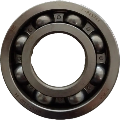 LS Bearing-Ball-A0863080h1
