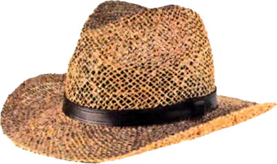 Large Sea Grass Safari Crown Hat w/3" CB Brim &amp; Leather Headband