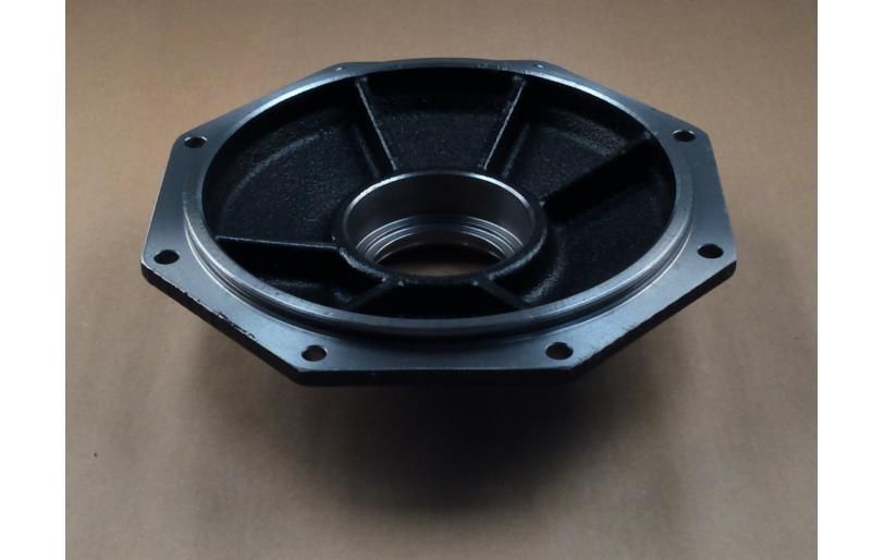 LS Cover-F/Axle Shaft-TRG400