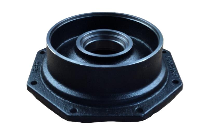 LS Cover-F/Axle Shaft-Trg400