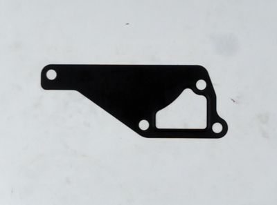 LS Gasket-Water Pump Cover-EGQ135