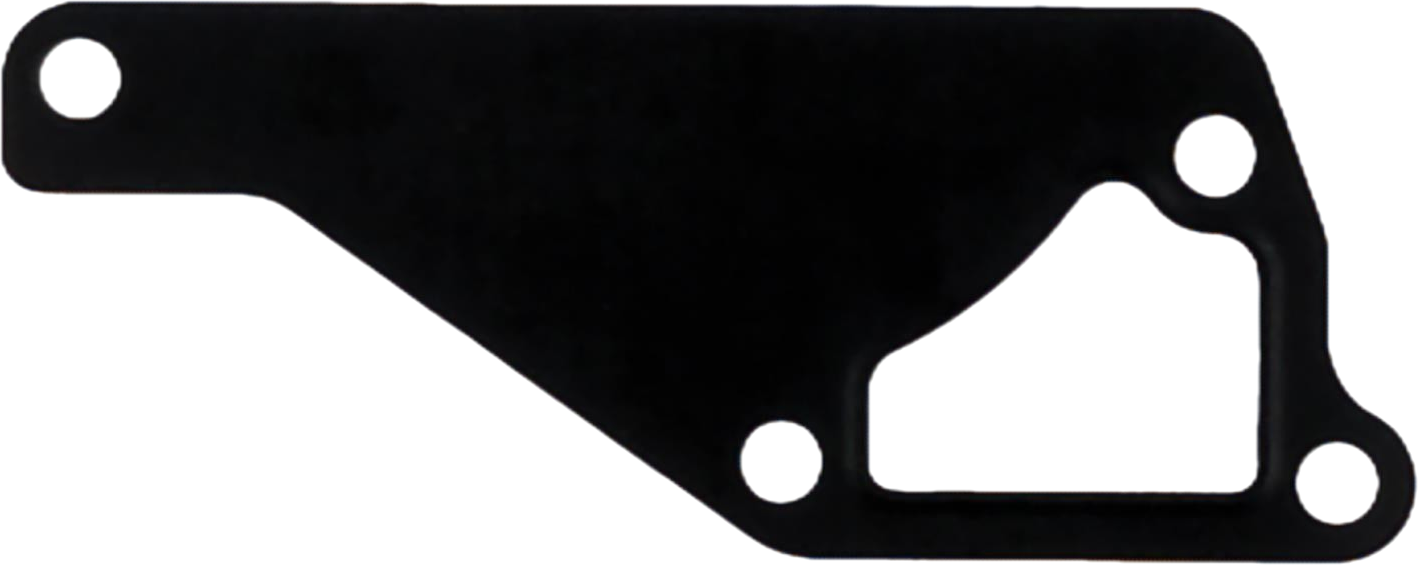 LS Gasket-Water Pump Cover-EGQ135