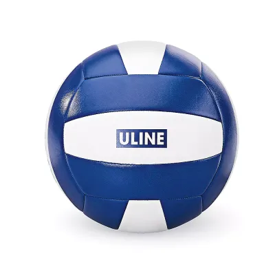 Uline Volleyball w/Pump, 8"