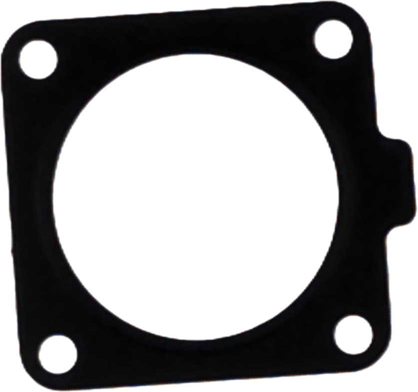 LS Gasket-ACV-EGQ160