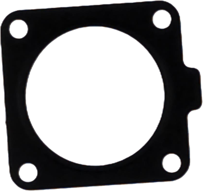 LS Gasket-ACV-EGQ160