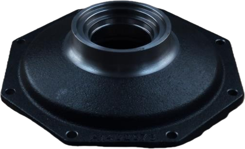 LS Cover-F/Axle Shaft-Trg400