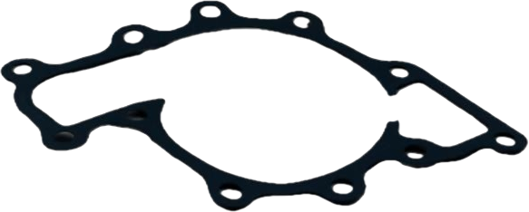 Gasket-Water-Pump-EGQ135