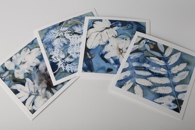 Set 4 wet cyanotype Rosa rugosa
