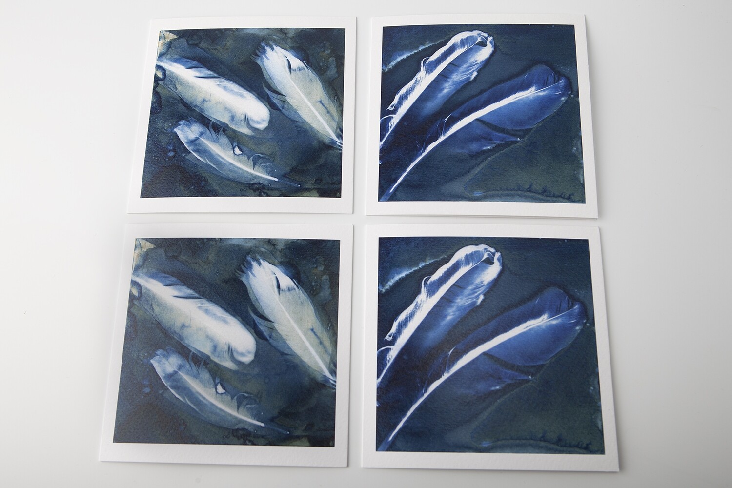 Set 4 wet cyanotype kaarten veren