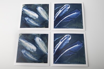 Set 4 wet cyanotype kaarten veren