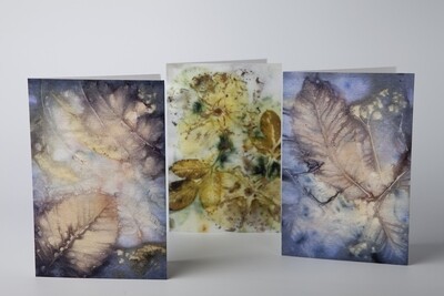 Set 3 ecoprint kaarten Castanea