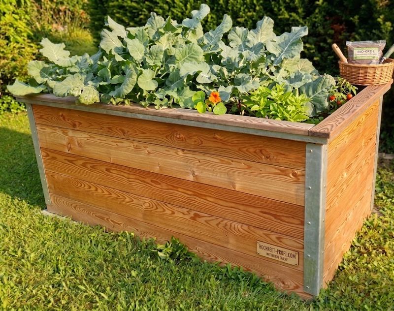 Befülltes Hochbeet aus Lärchenholz mit frischem Gemüse im Bio-Garten