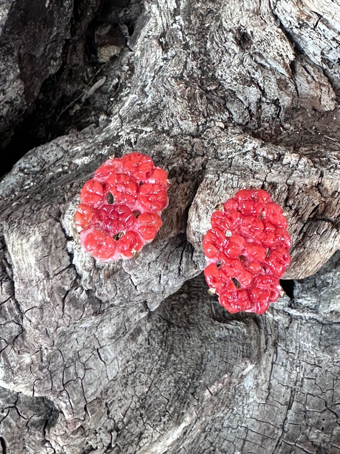 Orecchini bottoni ovali in corallo-Genny