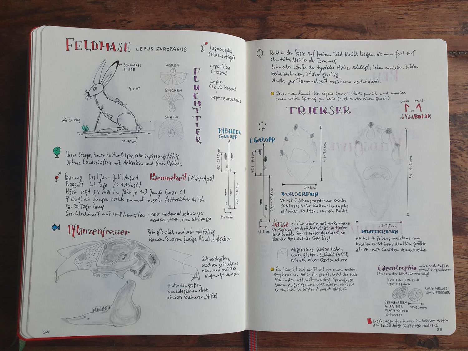 E-Book Journaling für Fährtenleser