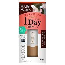 HOYU Cielo 1 Day Cover Gray Hair Color Comb Brown Color