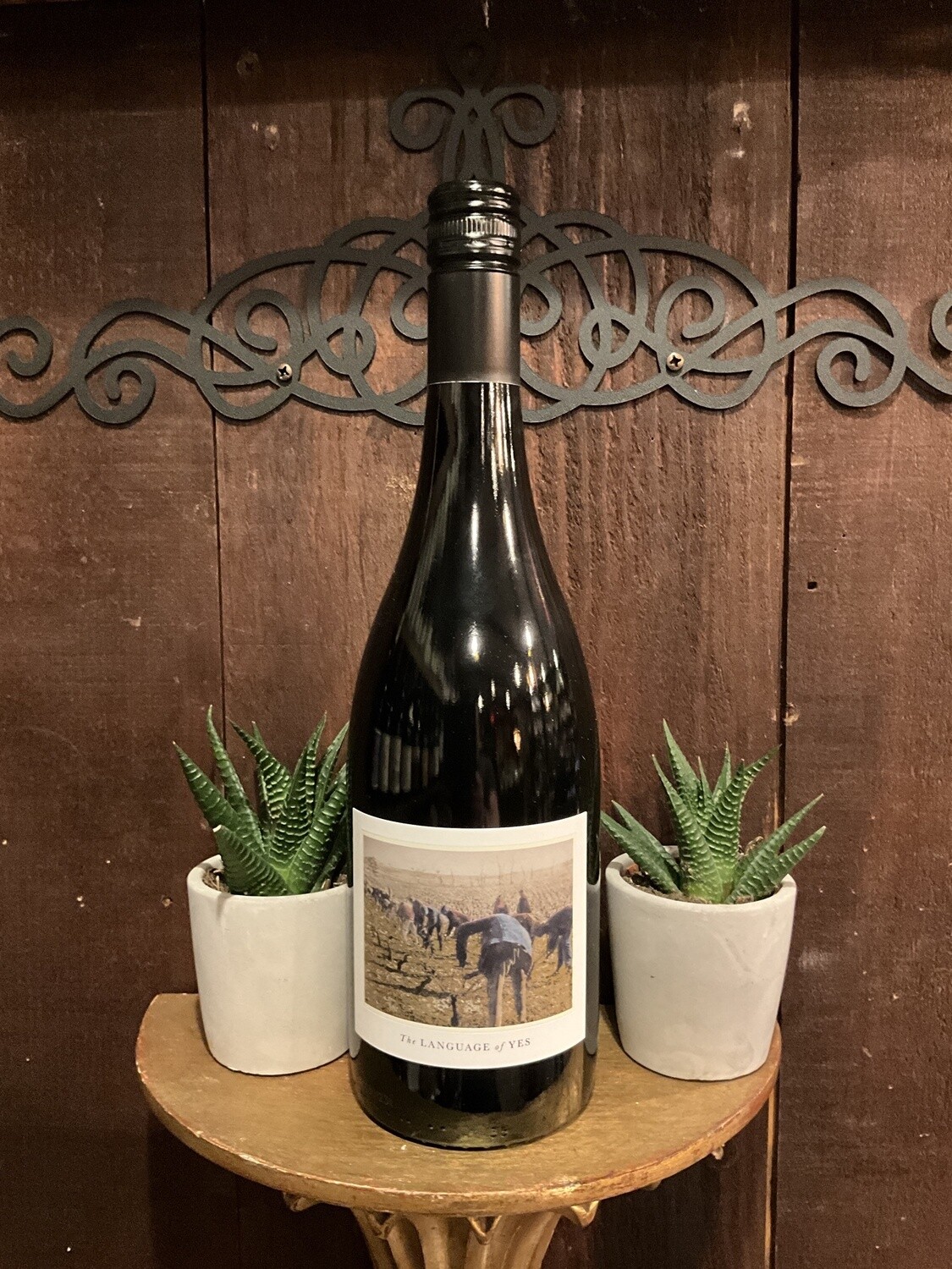 The Language of Yes Grenache