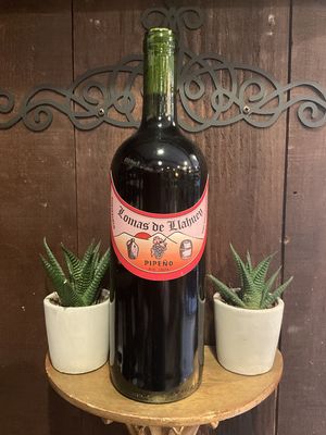 Gustavo Riffo Lomas De Llahuen Pipeno