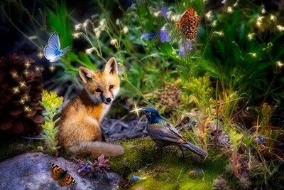 Fox Panel